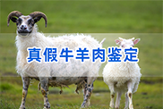 淮安羊类动物鉴定